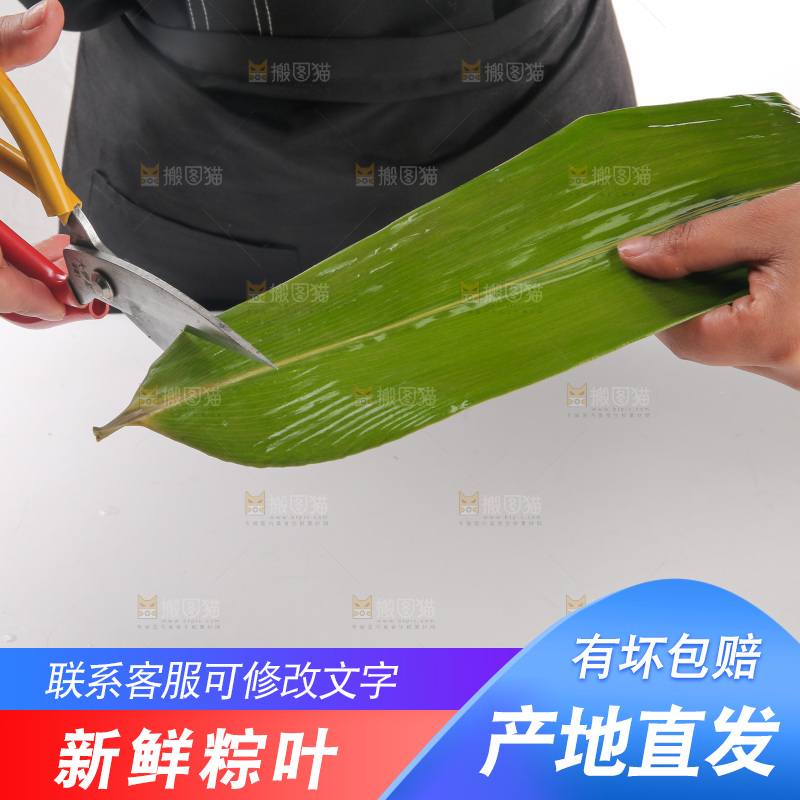 粽叶