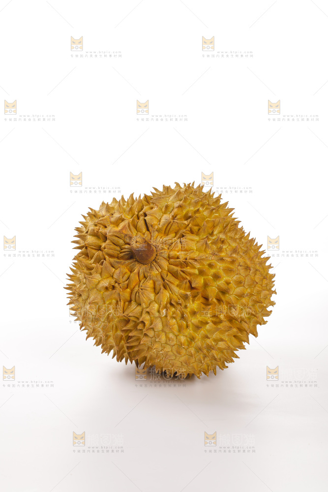 金枕榴莲