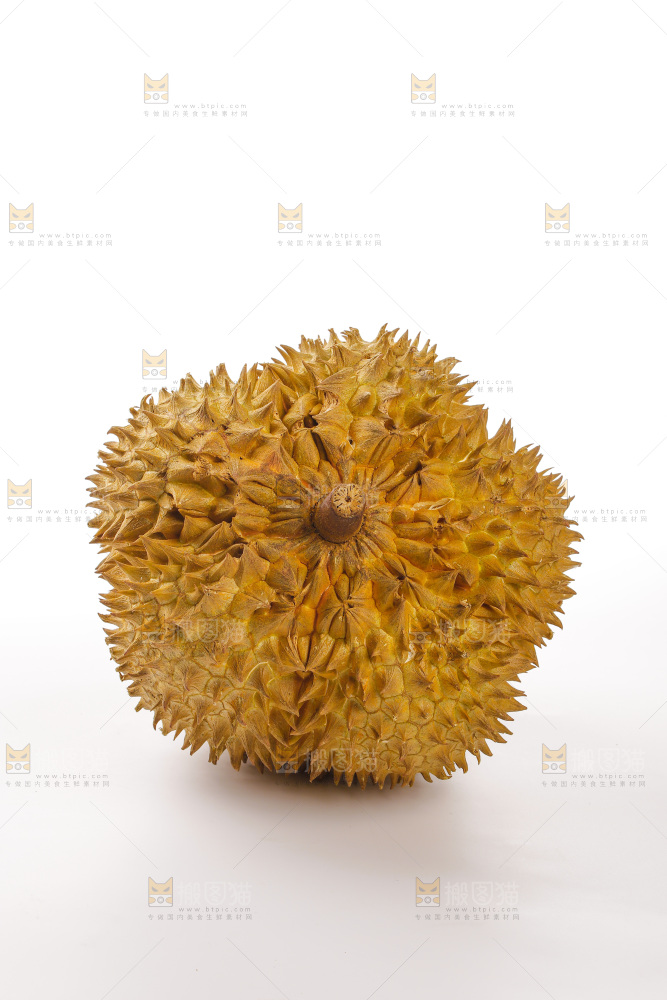 金枕榴莲