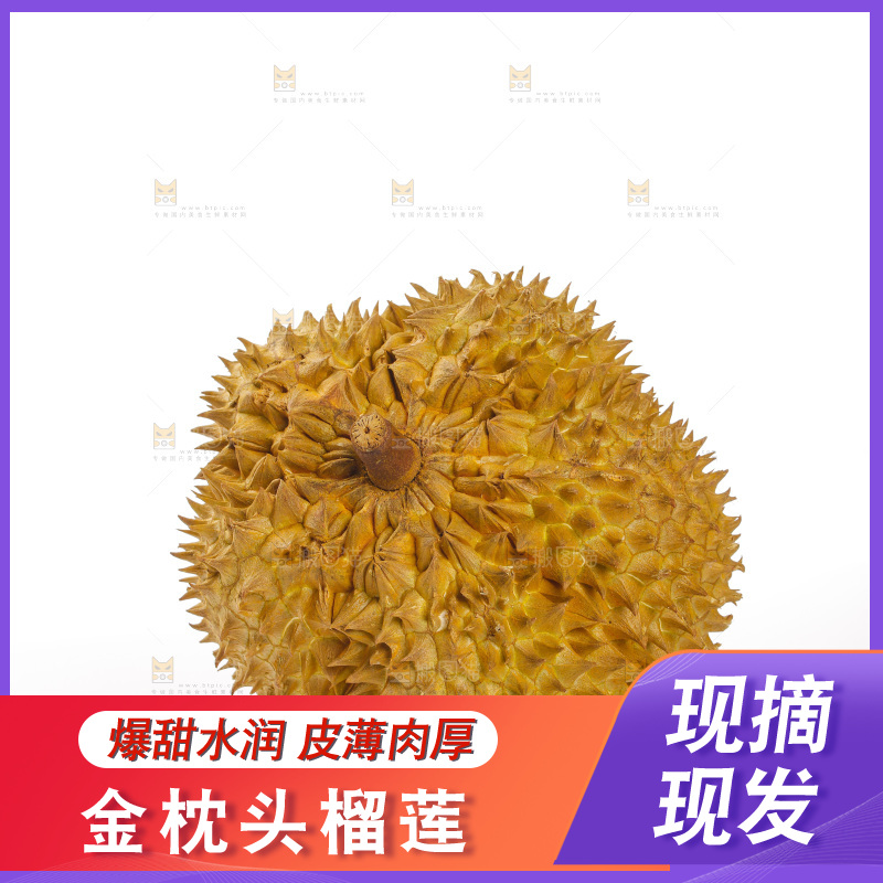 金枕榴莲