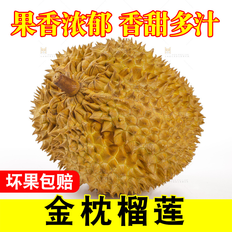 金枕榴莲