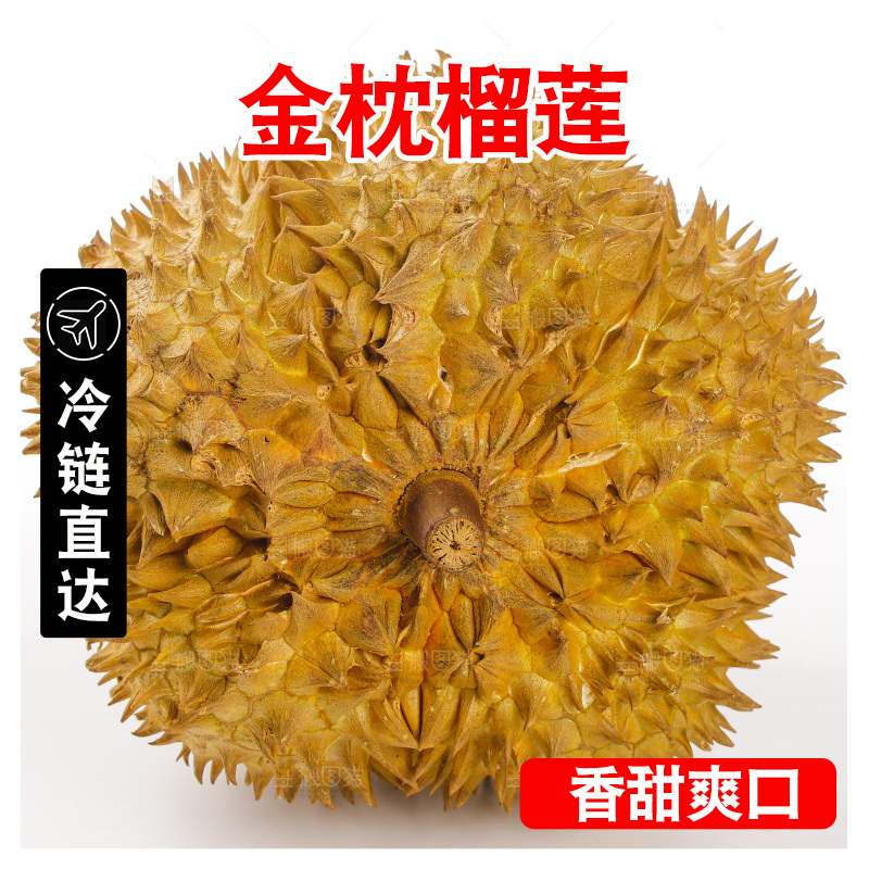 金枕榴莲