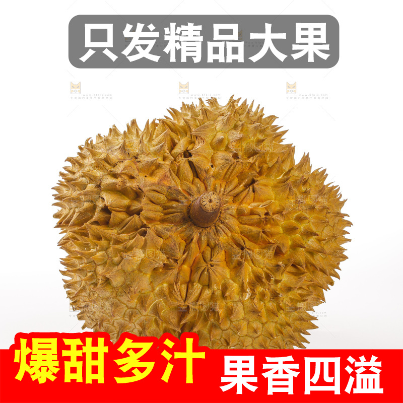 金枕榴莲