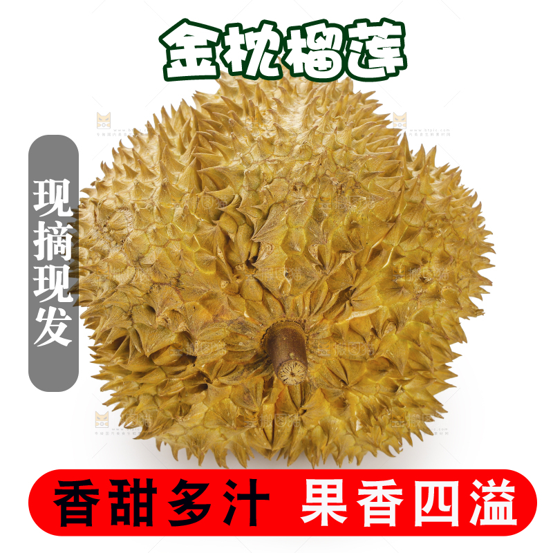 金枕榴莲