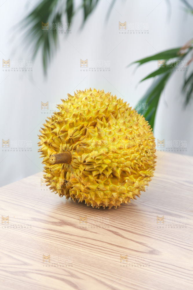 金枕榴莲
