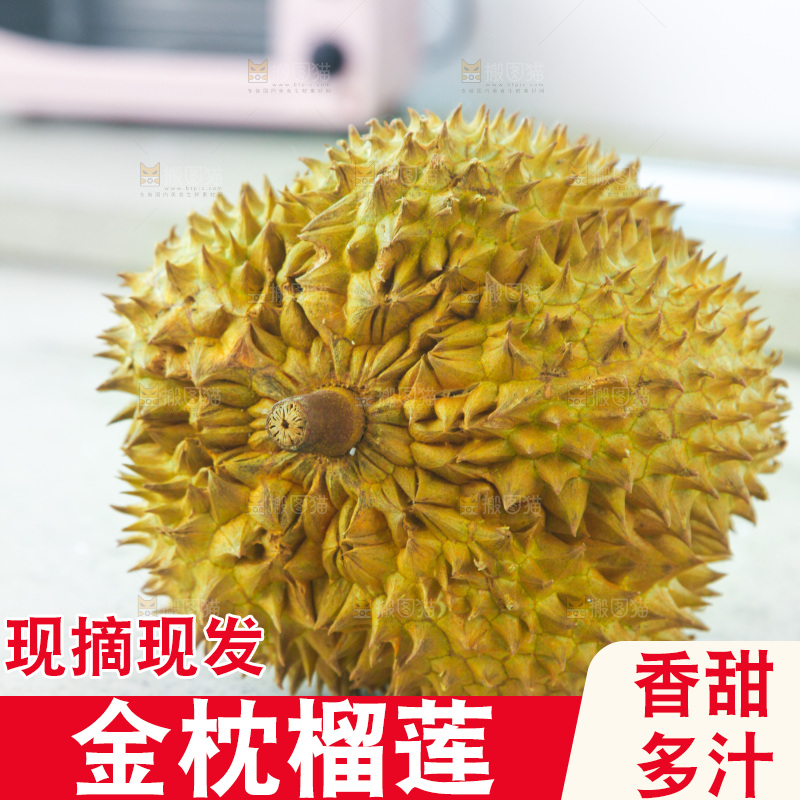 金枕榴莲