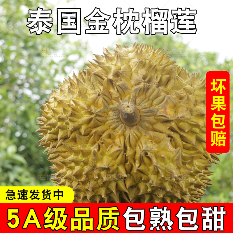 金枕榴莲