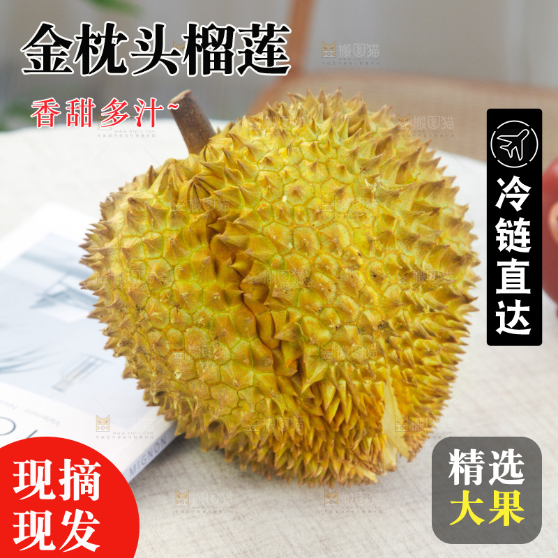 金枕榴莲