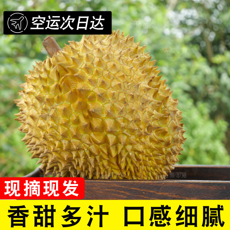 金枕榴莲