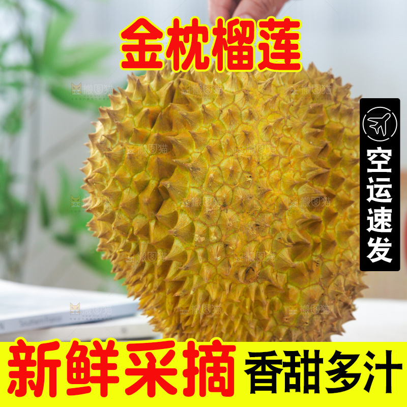 金枕榴莲