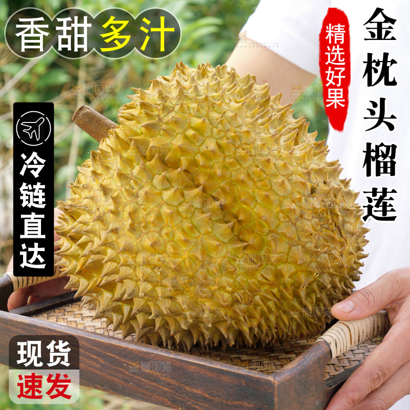 金枕榴莲