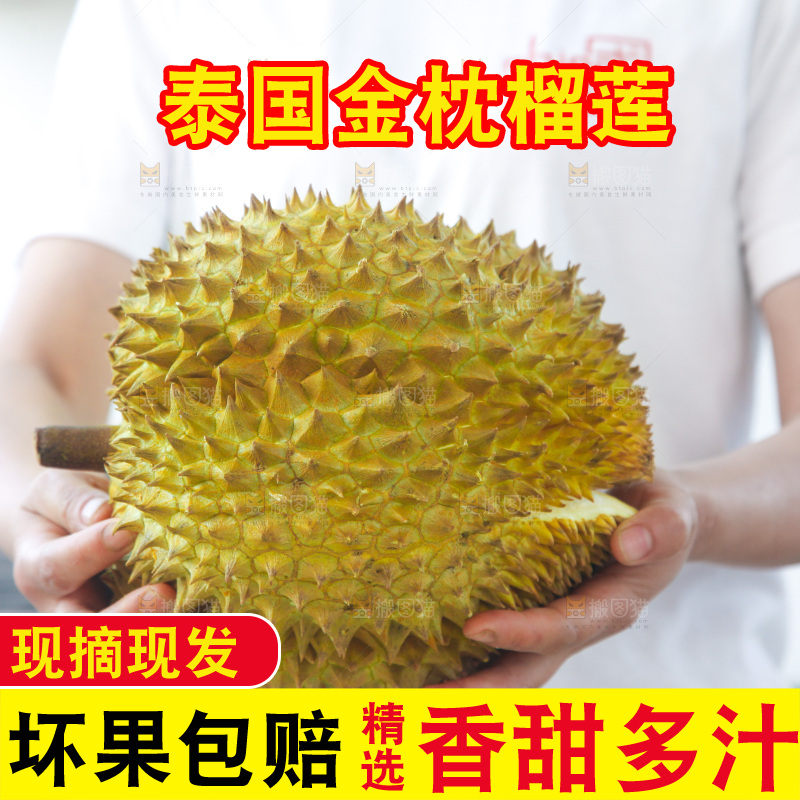 金枕榴莲