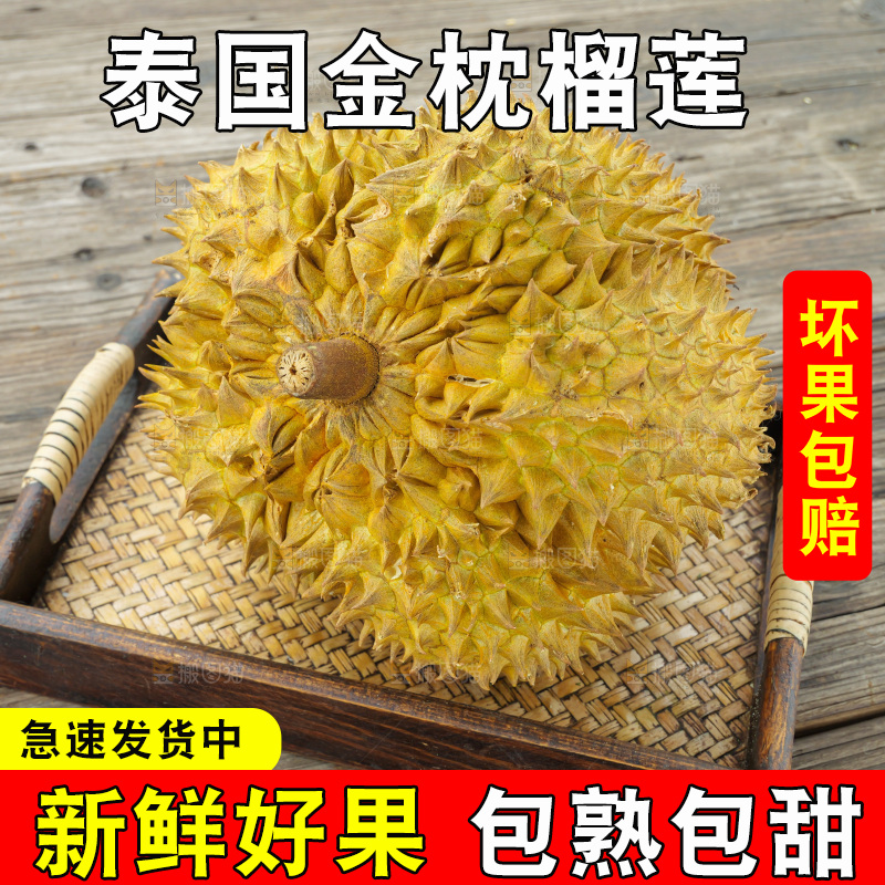 金枕榴莲