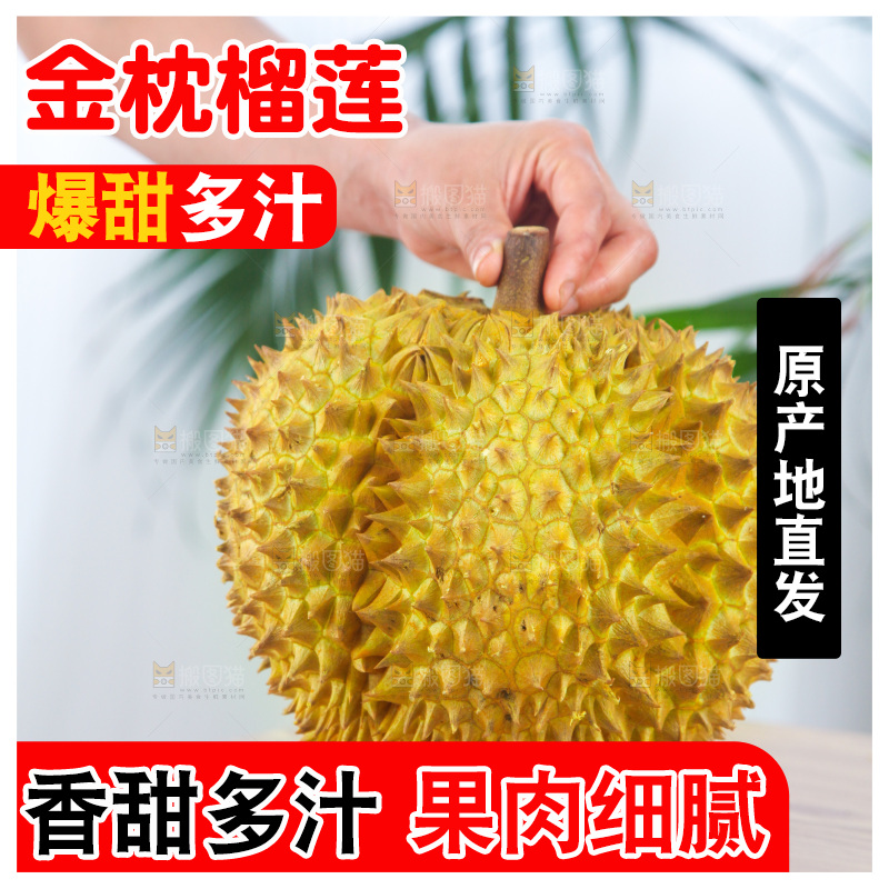 金枕榴莲