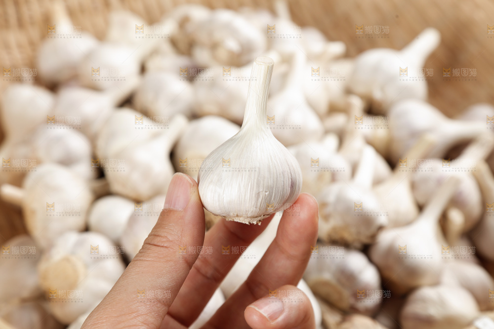 大蒜