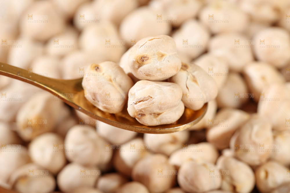 鹰嘴豆