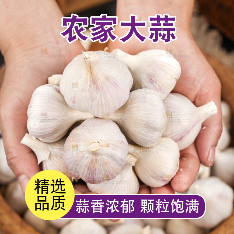大蒜