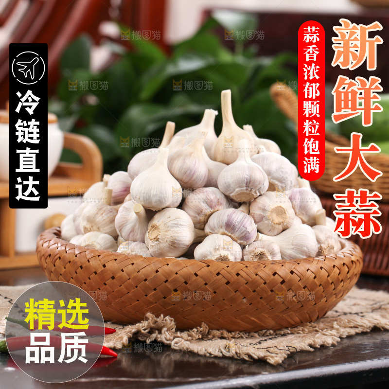 大蒜