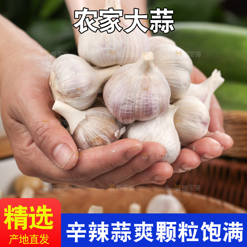 大蒜