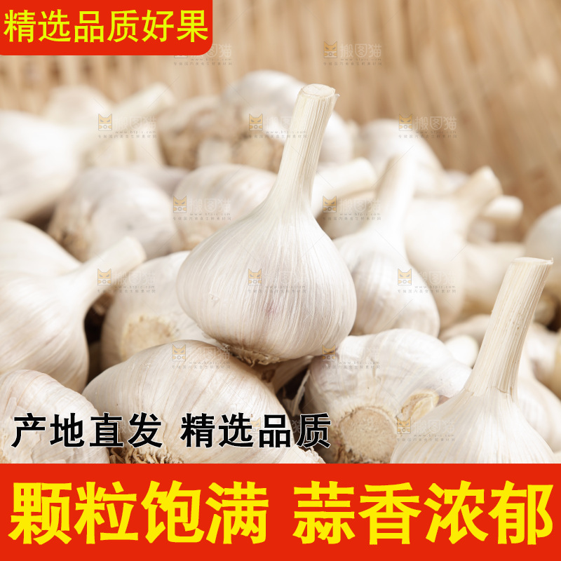 大蒜