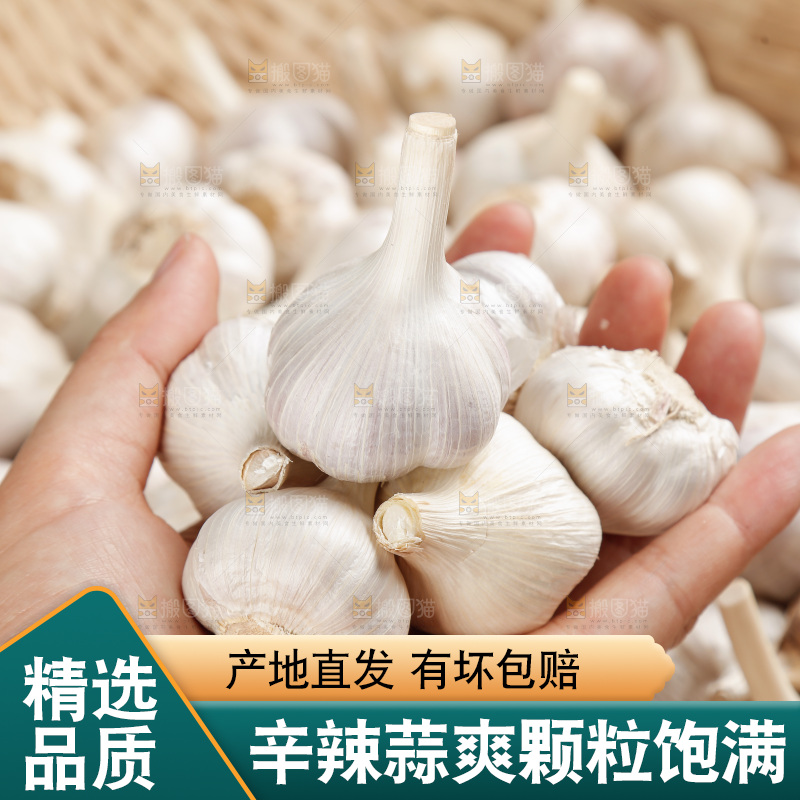 大蒜