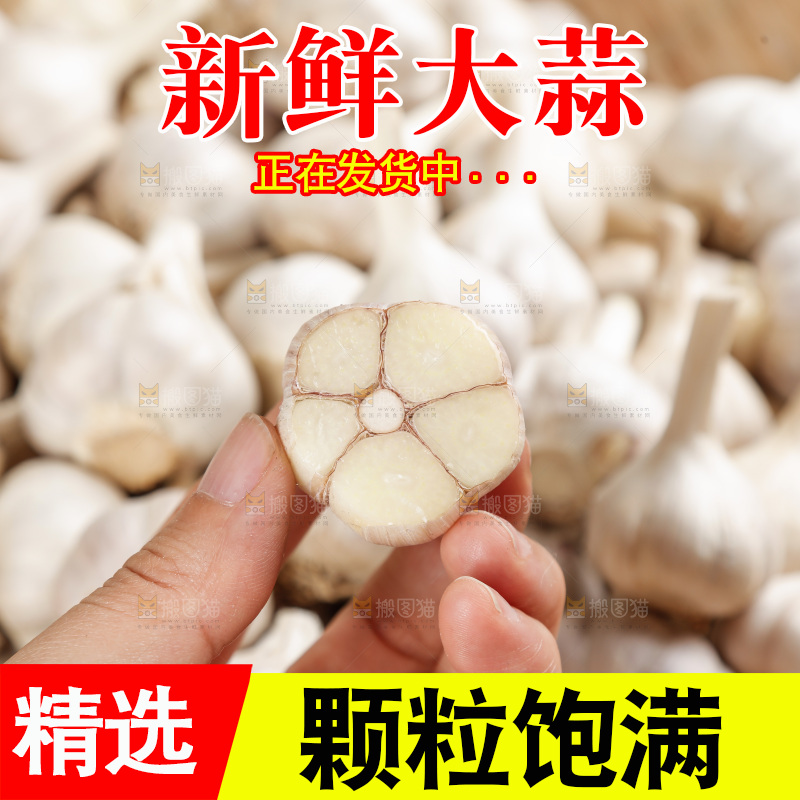 大蒜
