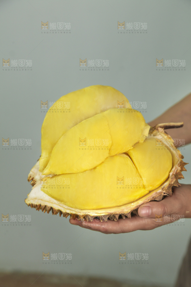 金枕榴莲