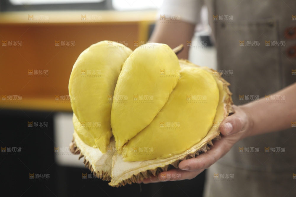 金枕榴莲