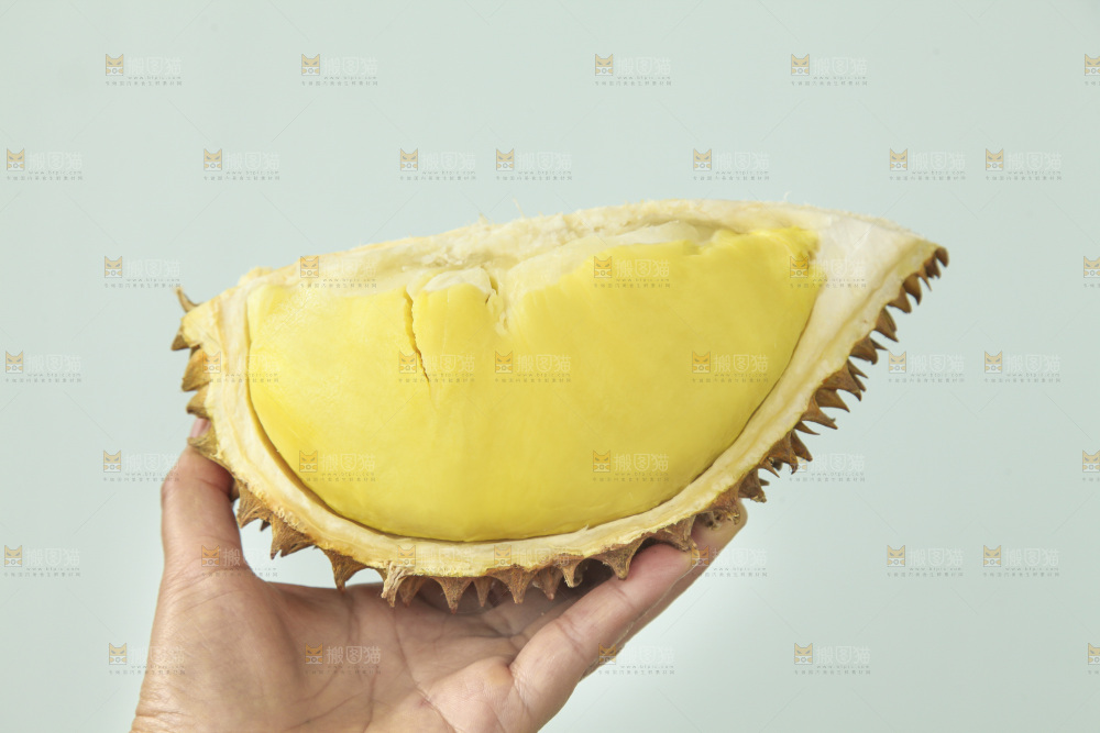 金枕榴莲