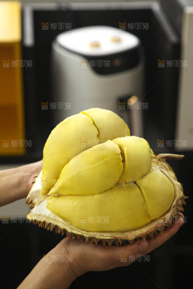 金枕榴莲