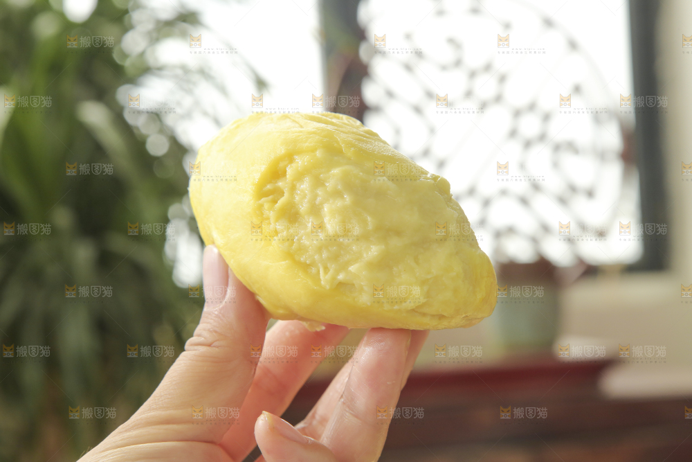 金枕榴莲