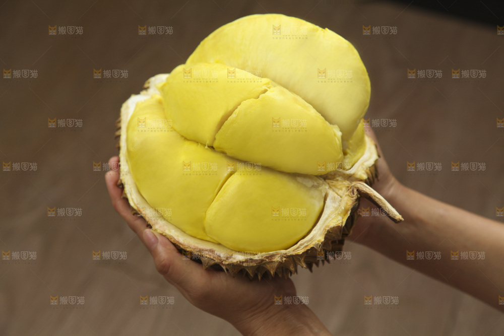 金枕榴莲