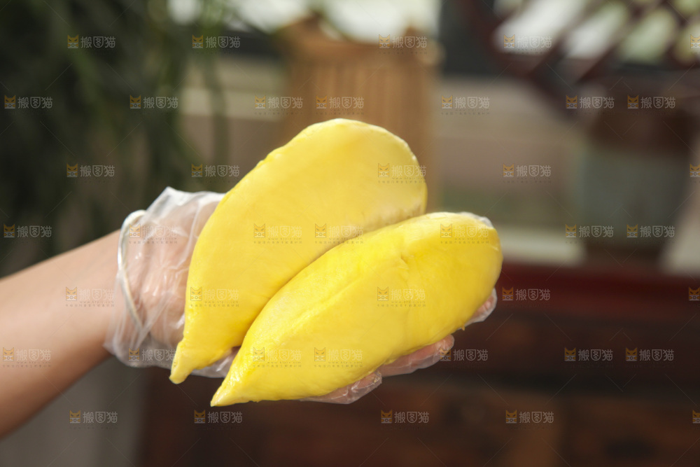 金枕榴莲