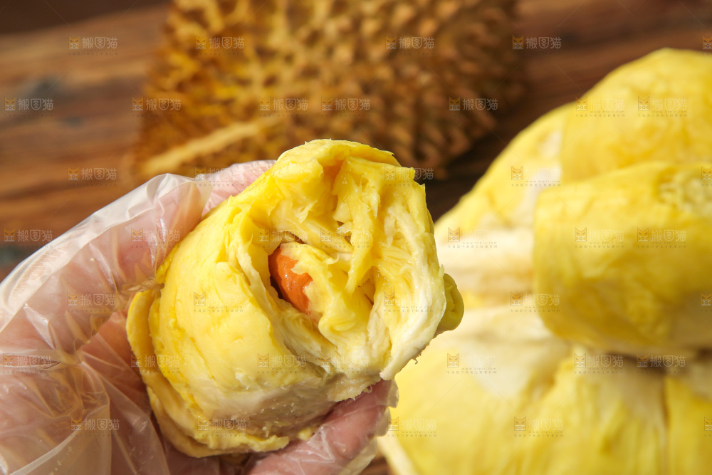 金枕榴莲