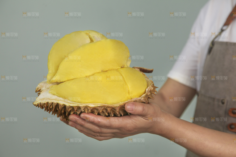 金枕榴莲