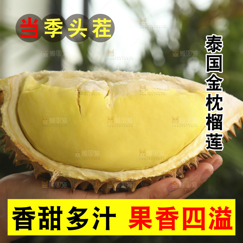 金枕榴莲
