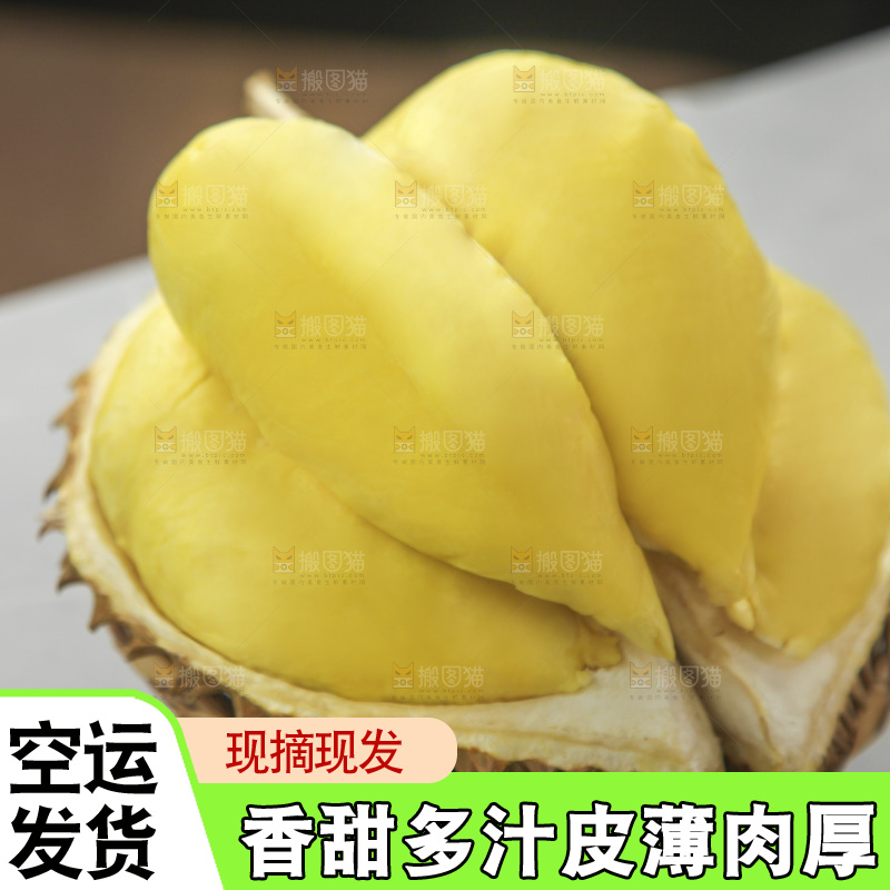 金枕榴莲