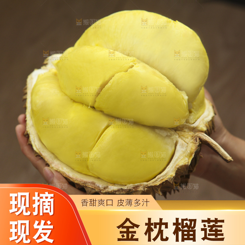 金枕榴莲