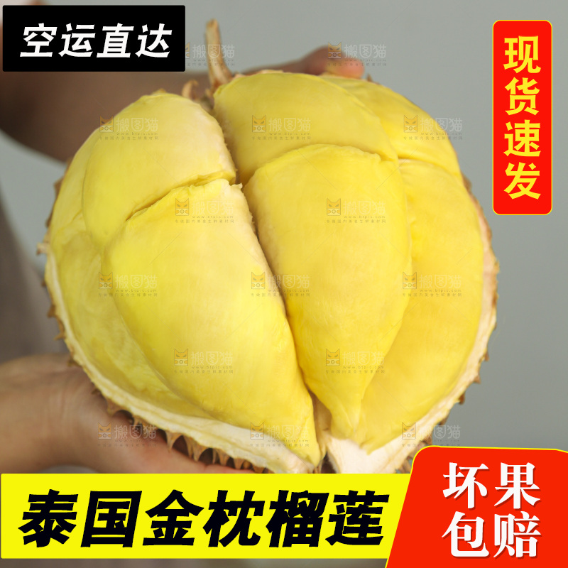 金枕榴莲