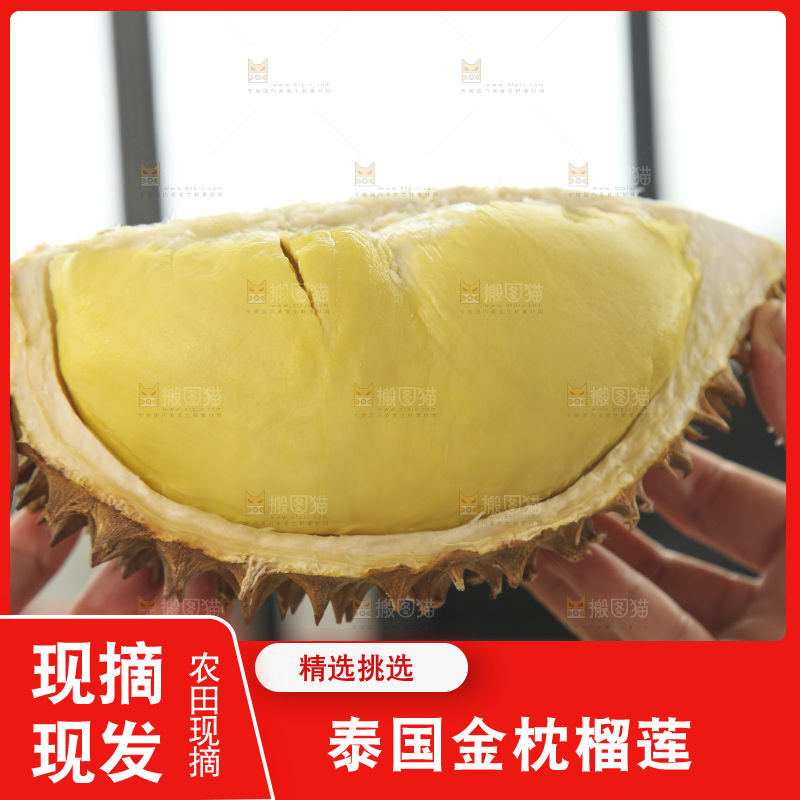 金枕榴莲