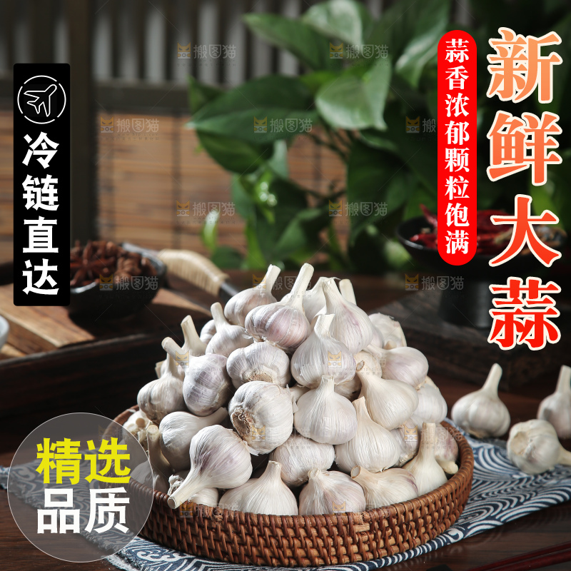 干大蒜