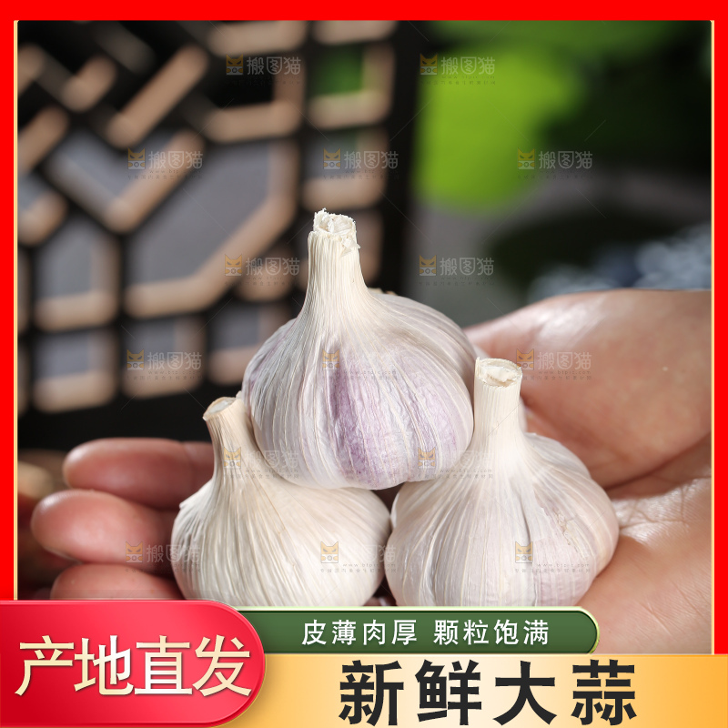 干大蒜