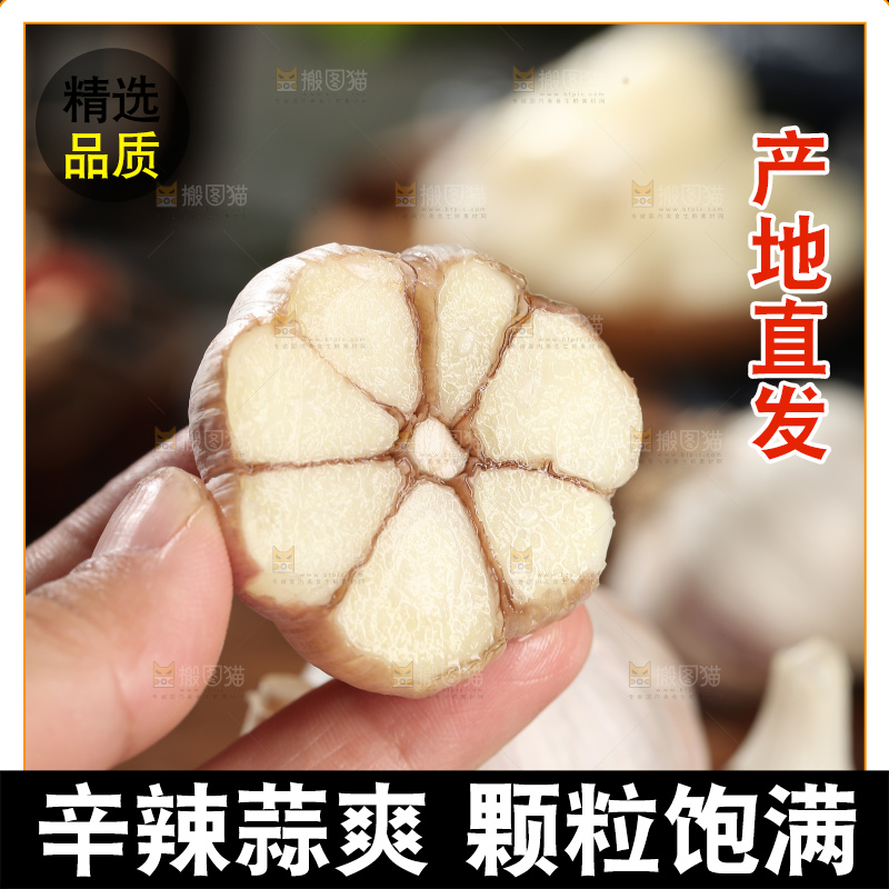 干大蒜