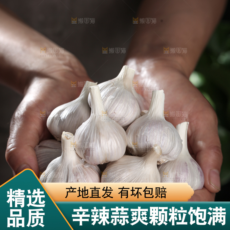 干大蒜