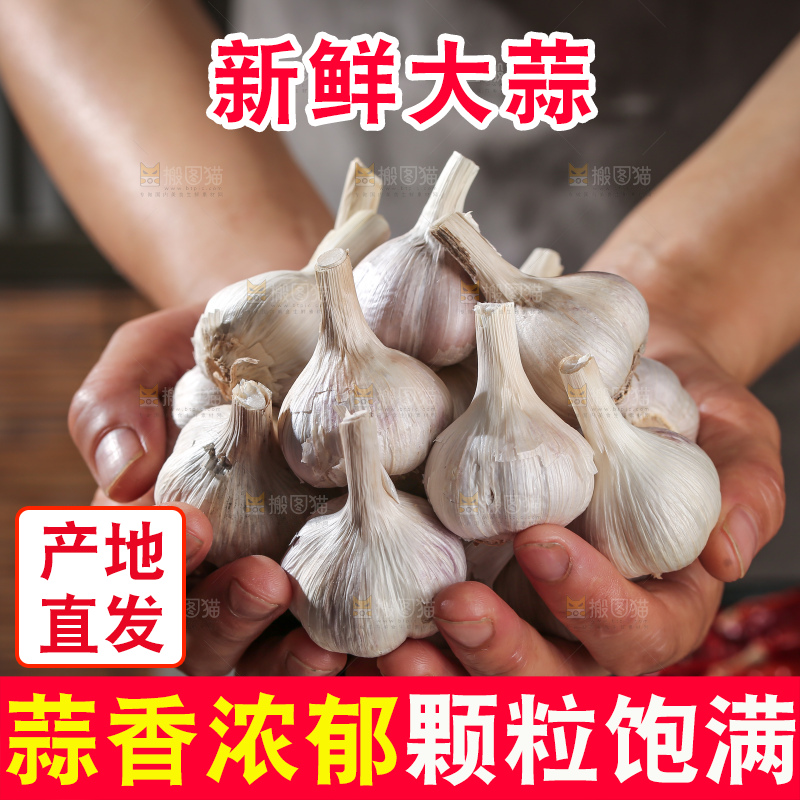 干大蒜