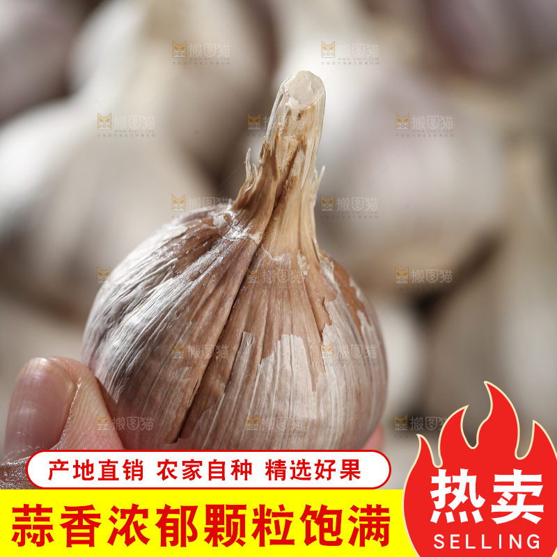 干大蒜