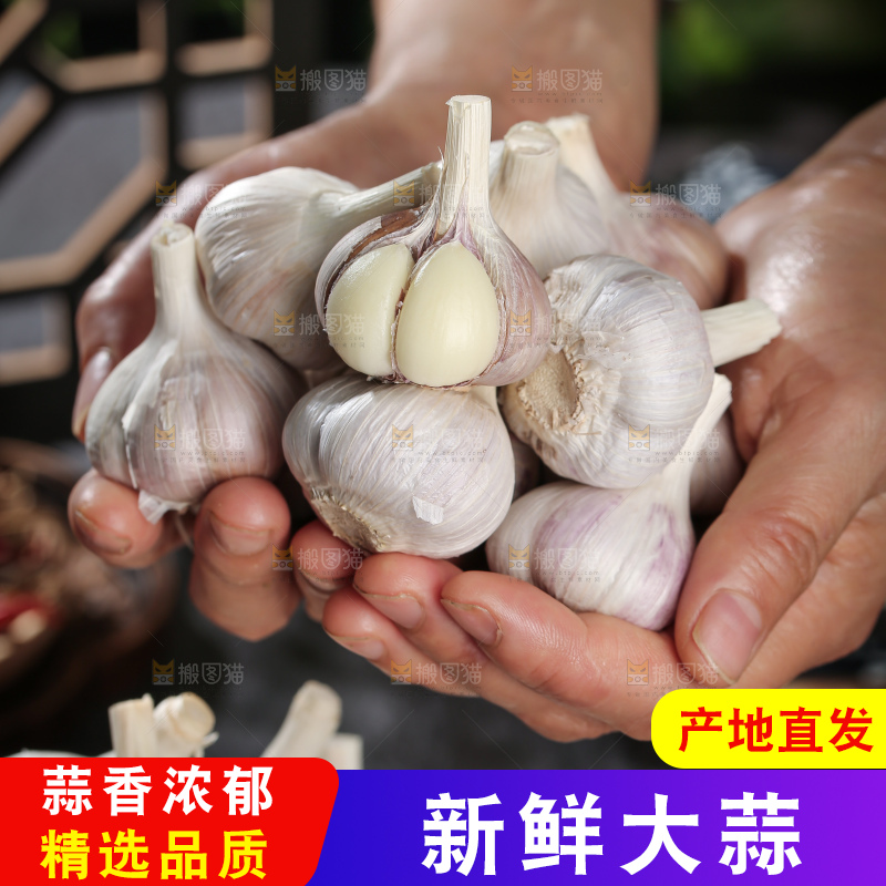 干大蒜