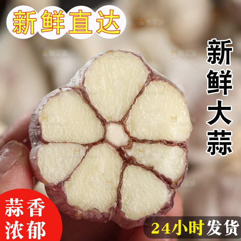 干大蒜