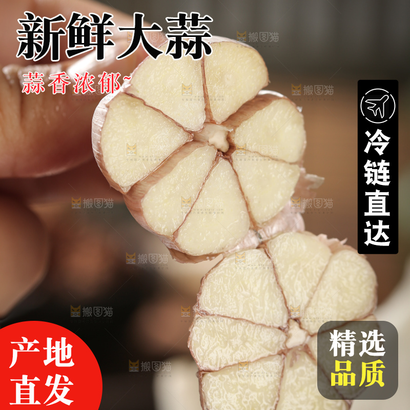 干大蒜