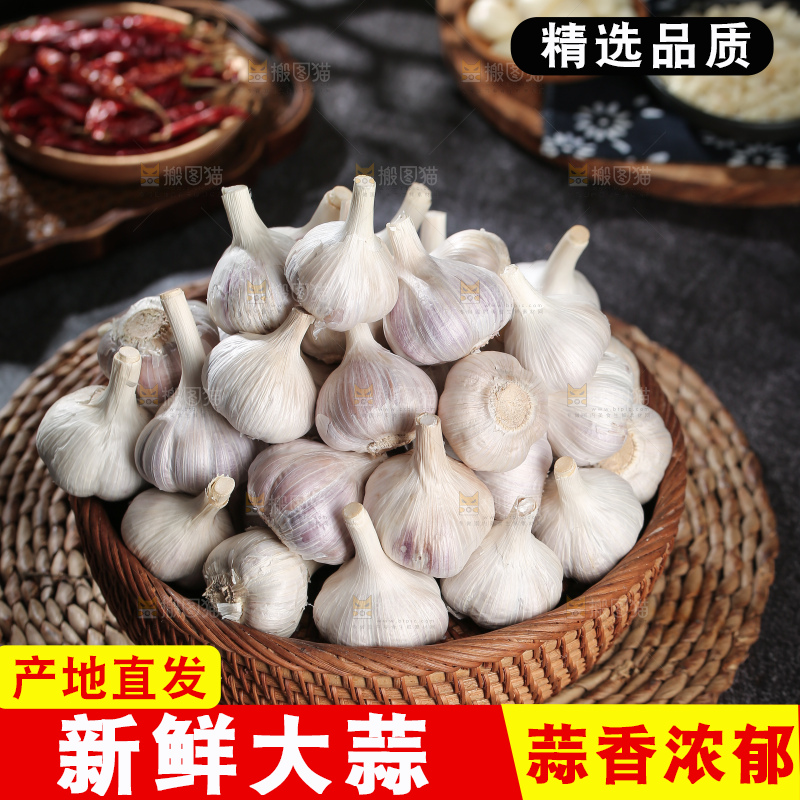 干大蒜